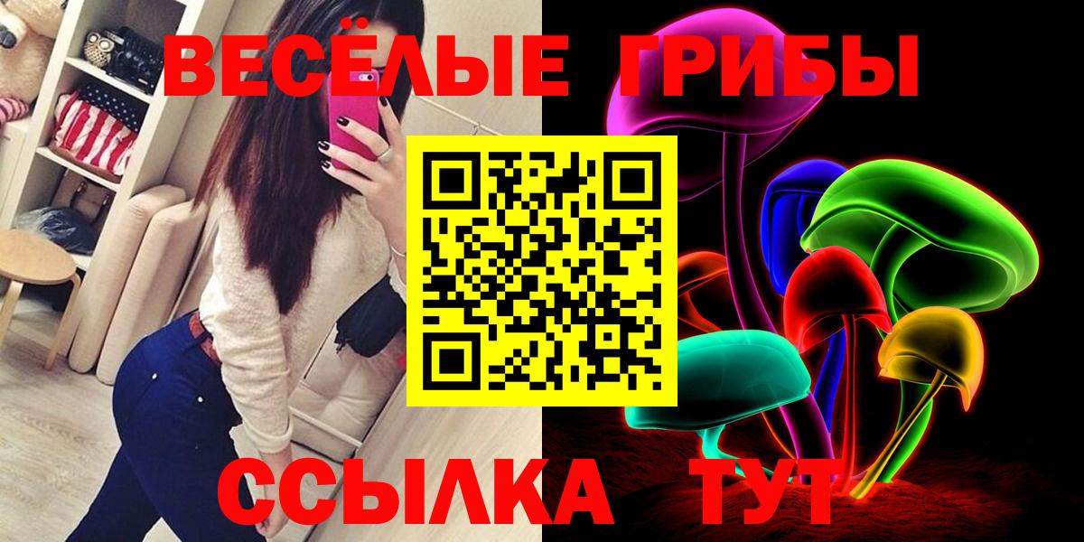 Губкинский  Псилоцибиновые грибы мухоморы  Вход с VPN 