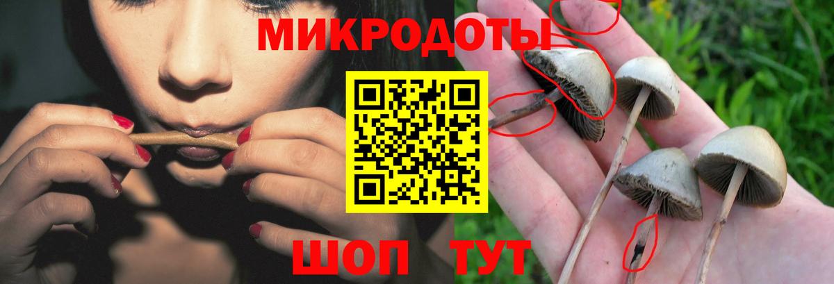 Галлюциногенные грибы мухоморы Губкинский